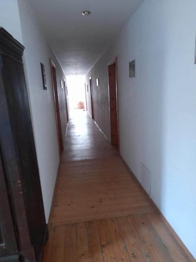 Pension Schwalbenhof Gestut Bartos Lommatzsch Extérieur photo